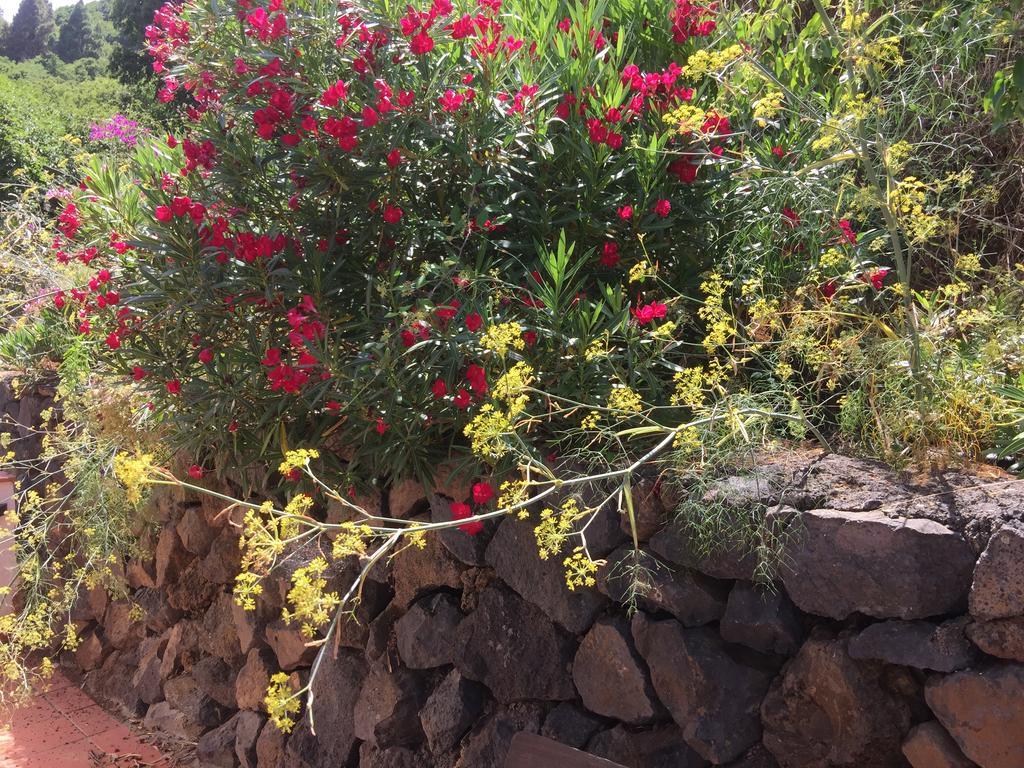 Finca Madrugada 산타크루즈데라팔마 외부 사진